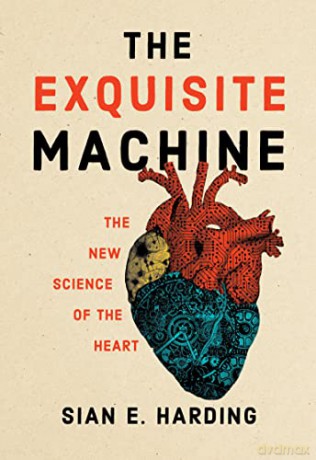 Exquisite Machine - Sian E. Harding [KSIĄŻKA]