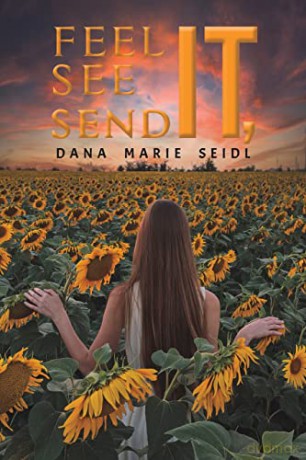 Feel It See It Send It - Dana Marie Seidl [KSIĄŻKA]