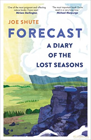 Forecast - Joe Shute [KSIĄŻKA]