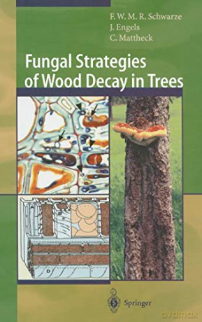 Fungal Strategies Of Wood Decay In Trees - Claus Mattheck [KSIĄŻKA]