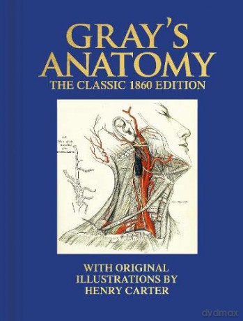 Grays Anatomy - Henry Gray [KSIĄŻKA]