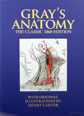 Grays Anatomy - Henry Gray [KSIĄŻKA]