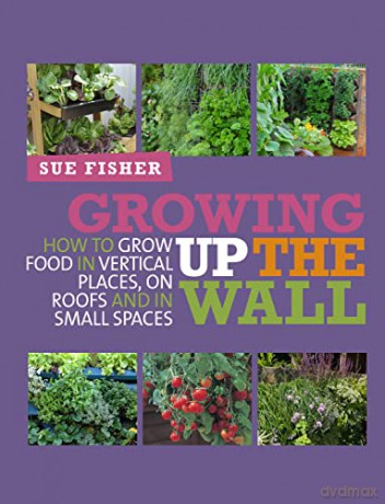 Growing Up The Wall - Sue Fisher [KSIĄŻKA]