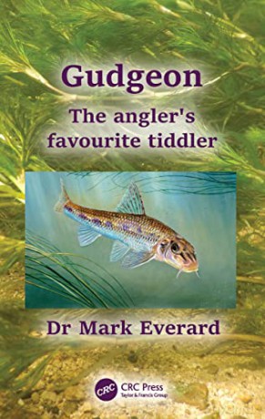 Gudgeon - Mark Everard [KSIĄŻKA]