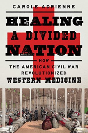 Healing A Divided Nation - Carole Adrienne [KSIĄŻKA]