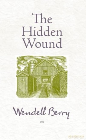 Hidden Wound - Wendell Berry [KSIĄŻKA]