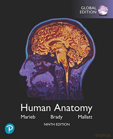 Human Anatomy Global Edition - Elaine Marieb [KSIĄŻKA]