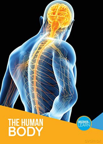 Human Body - Joanna Brundle [KSIĄŻKA]
