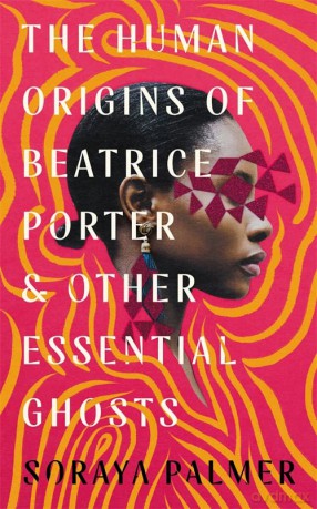 Human Origins Of Beatrice Porter And Oth - Soraya Palmer [KSIĄŻKA]