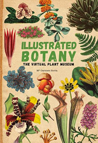 Illustrated Botany - Carmen Soria [KSIĄŻKA]