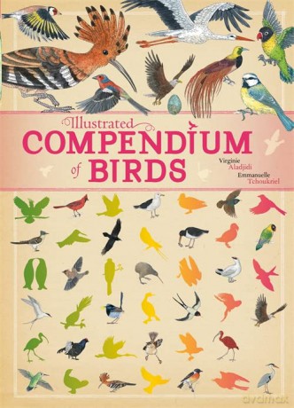 Illustrated Compendium Of Birds - Virginie Aladjidi [KSIĄŻKA]