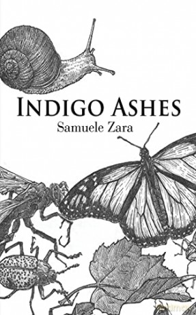 Indigo Ashes - Samuele Zara [KSIĄŻKA]