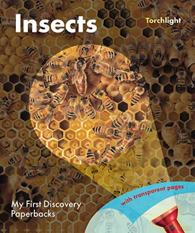 Insects - Claude Delafosse [KSIĄŻKA]