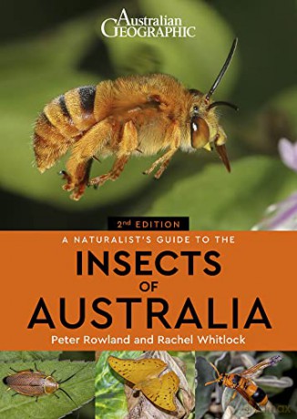 Insects Of Australia - Peter Rowland [KSIĄŻKA]
