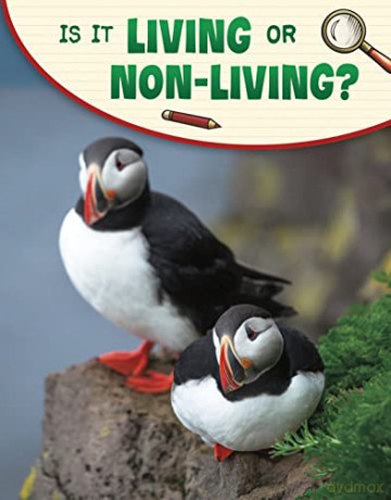 Is It Living Or Nonliving - Lisa M. Bolt Simons [KSIĄŻKA]