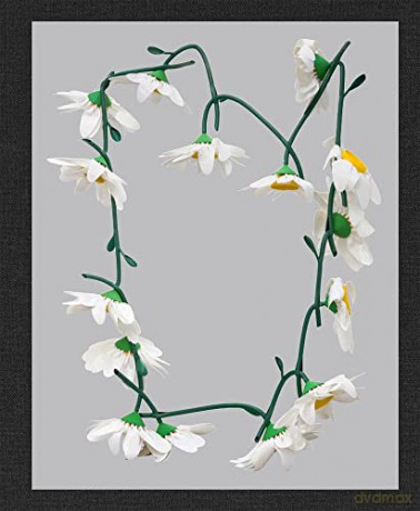 Kathleen Ryan Daisy Chain - Kathleen Ryan [KSIĄŻKA]