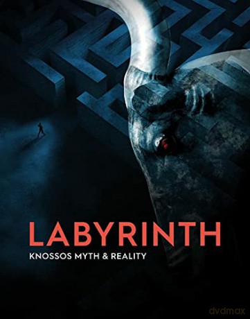 Labyrinth - Andrew Shapland [KSIĄŻKA]