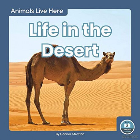 Life In The Desert - Connor Stratton [KSIĄŻKA]