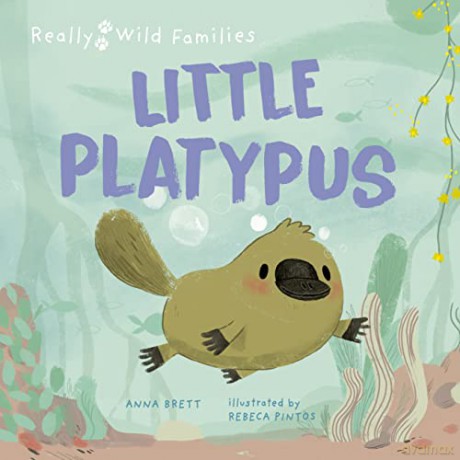 Little Platypus - Anna Brett [KSIĄŻKA]