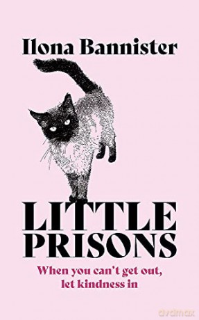 Little Prisons - Ilona Bannister [KSIĄŻKA]