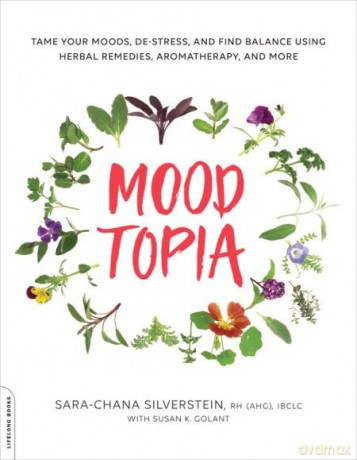 Moodtopia - Sara-Chana Silverstein [KSIĄŻKA]