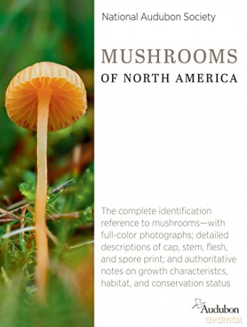 National Audubon Society Mushrooms Of No - National Audubon Society National Audubon Society [KSIĄŻKA]