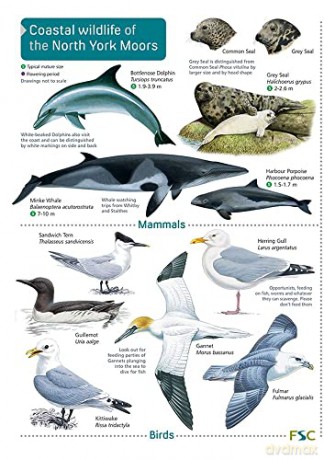 North York Moors Coasts - Whitby Naturalists' Club [KSIĄŻKA]