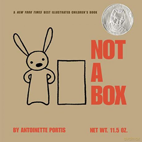 Not A Box - Antoinette Portis [KSIĄŻKA]