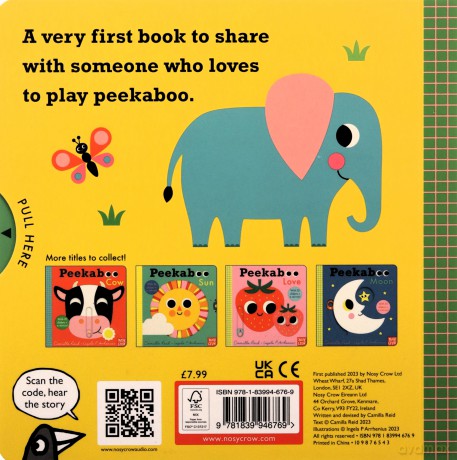 Peekaboo Lion - Camilla Reid [KSIĄŻKA]