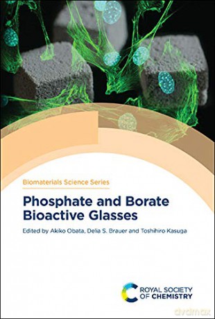 Phosphate And Borate Bioactive Glas - Akiko Obata [KSIĄŻKA]