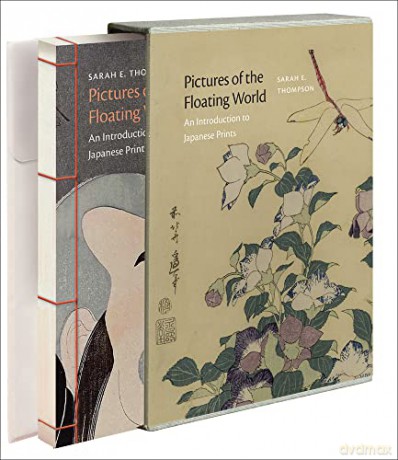 Pictures Of The Floating World - Sarah E. Thompson [KSIĄŻKA]