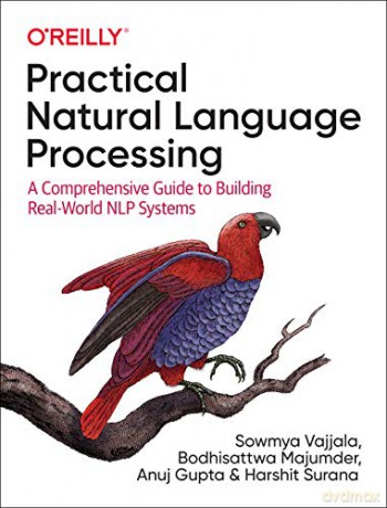 Practical Natural Language Processing - Sowmya Vajjala [KSIĄŻKA]
