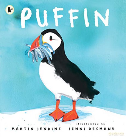Puffin - Martin Jenkins [KSIĄŻKA]