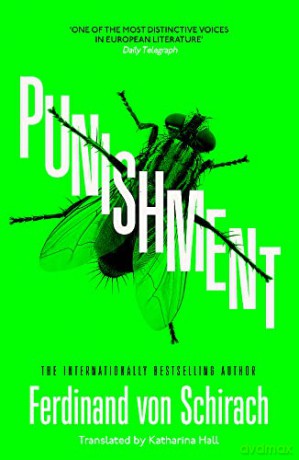 Punishment - Ferdinand von Schirach [KSIĄŻKA]