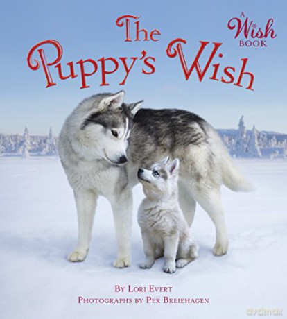 Puppys Wish A Wish Book - Lori Evert [KSIĄŻKA]