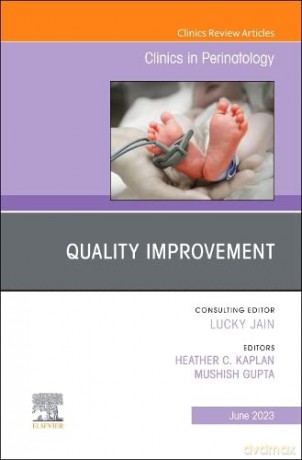 Quality Improvement An Issue Of Clinics - Heather C. Kaplan MD MSCE [KSIĄŻKA]