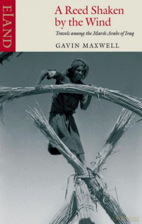 Reed Shaken By The Wind - Gavin Maxwell [KSIĄŻKA]