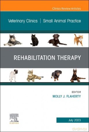Rehabilitation Therapy An Issue Of Veter - Molly J. Flaherty DVM CCRP CVA CVSMT CVPP [KSIĄŻKA]