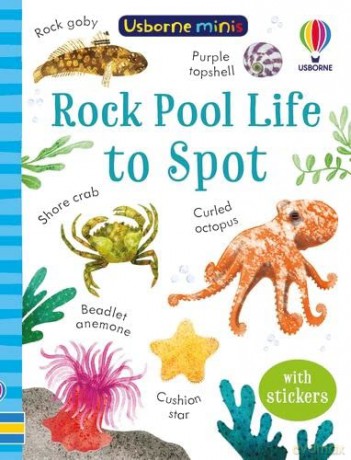 Rock Pool Life To Spot - Simon Tudhope [KSIĄŻKA]