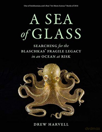 Sea Of Glass A - Drew Harvell [KSIĄŻKA]