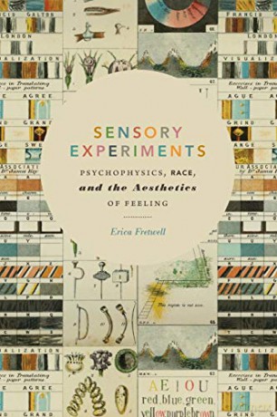 Sensory Experiments - Erica Fretwell [KSIĄŻKA]