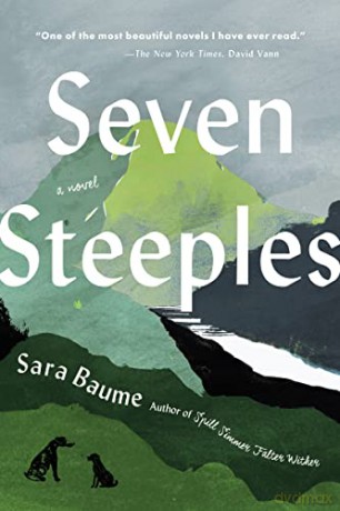 Seven Steeples - Sara Baume [KSIĄŻKA]