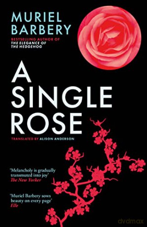 Single Rose - Muriel Barbery [KSIĄŻKA]