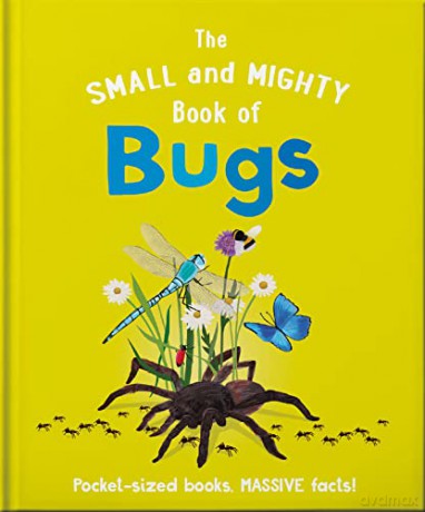Small And Mighty Book Of Bugs - Catherine Brereton [KSIĄŻKA]