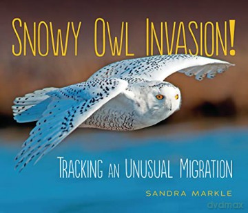 Snowy Owl Invasion - Sandra Markle [KSIĄŻKA]