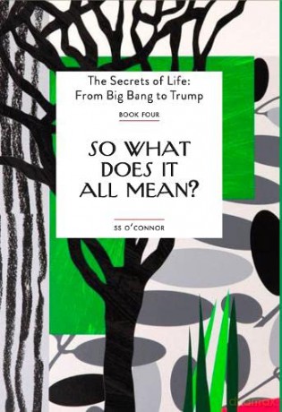 So What Does It All Mean - S. S. O'Connor [KSIĄŻKA]
