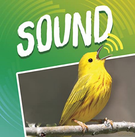 Sound - Michael Dahl [KSIĄŻKA]