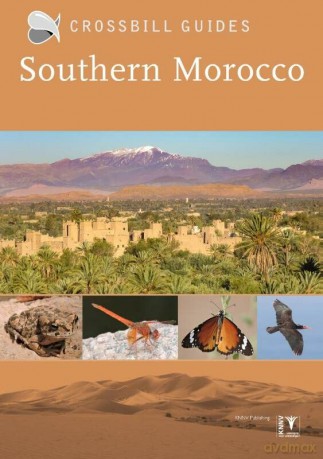 Southern Morocco - Martin Pitt [KSIĄŻKA]