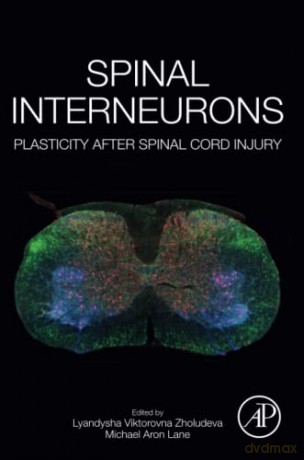 Spinal Interneurons - Lyandysha Viktorovna Zholudeva [KSIĄŻKA]