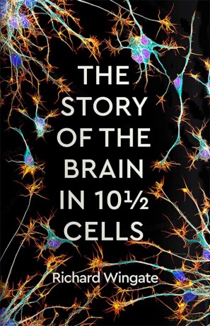Story Of The Brain In 10 1/2 Cells - Richard Wingate [KSIĄŻKA]